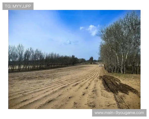 “泥泞激战：雨后泥地上的疯狂追逐”，泥泞的雨天